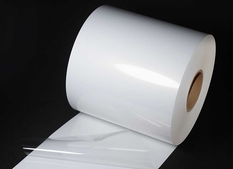 PET Liner 1