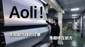 AOLI Group Where Canvas and Vinyl Meet Precision and Passion